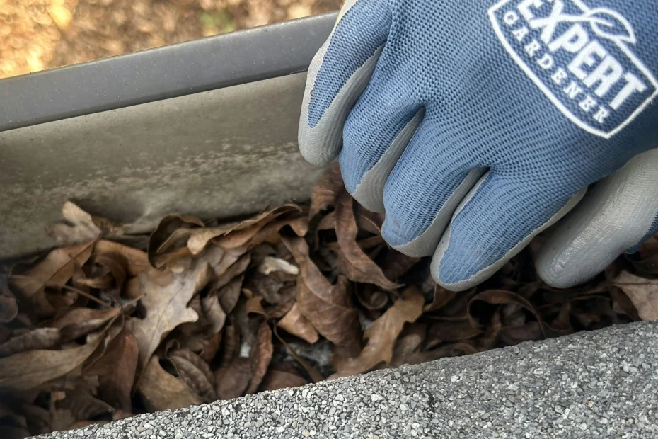 Gutter Cleaning Cary NC