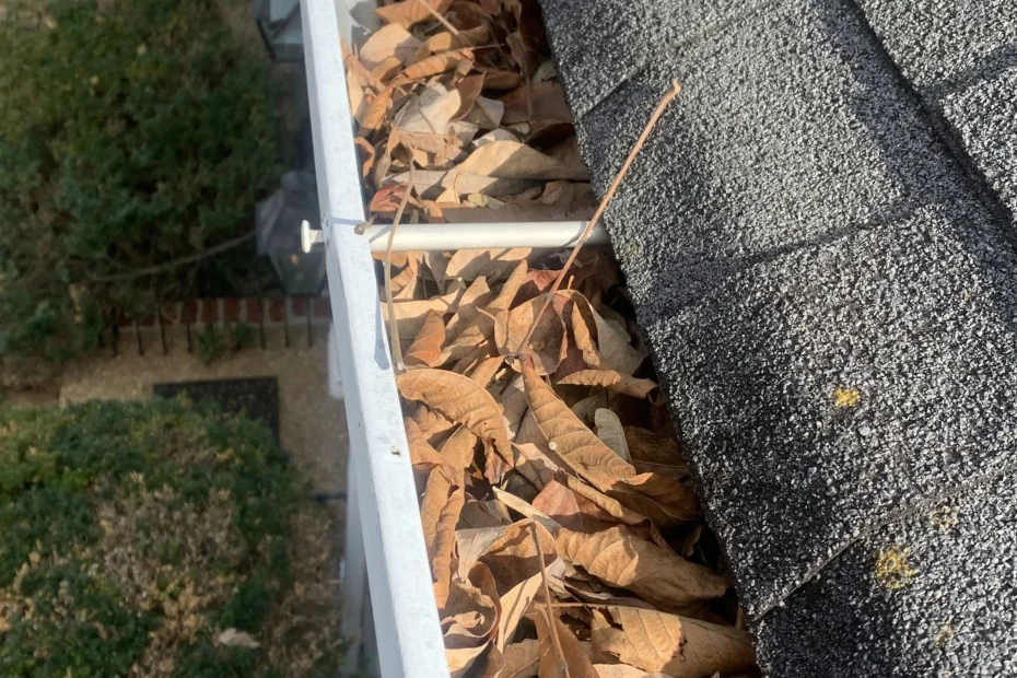 Gutter Cleaning Cary NC